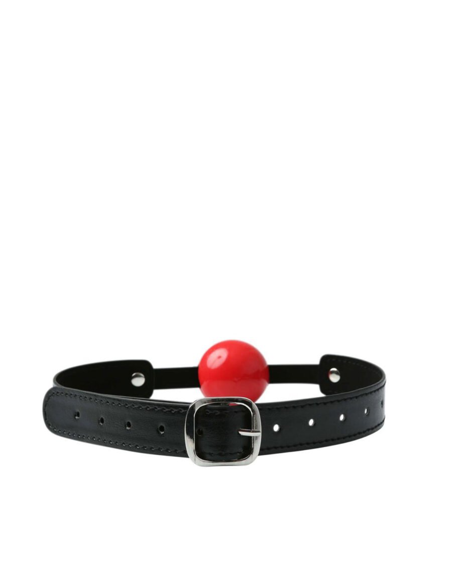 Sex And Mischief Solid Red Ball Gag
